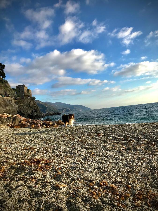 Ca Lea Beach House Monterosso al Mare Exteriör bild